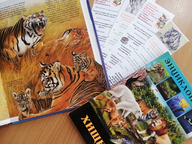 Идентификация амурских тигров по уникальному рисунку на шкуре
